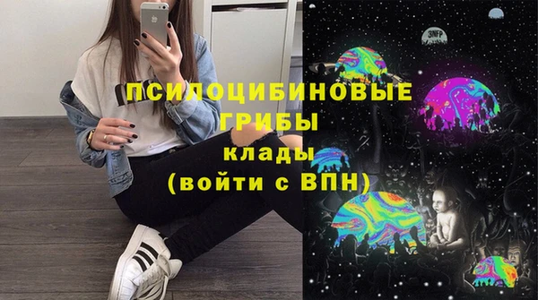 не бодяженный Горно-Алтайск