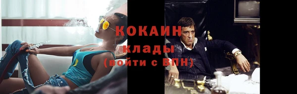 гидропоника Гусь-Хрустальный