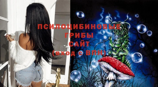 не бодяженный Горно-Алтайск
