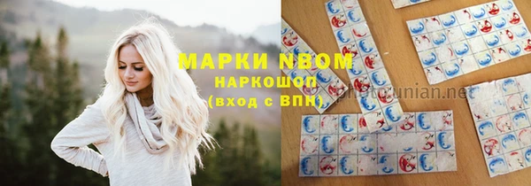 гидропоника Гусь-Хрустальный